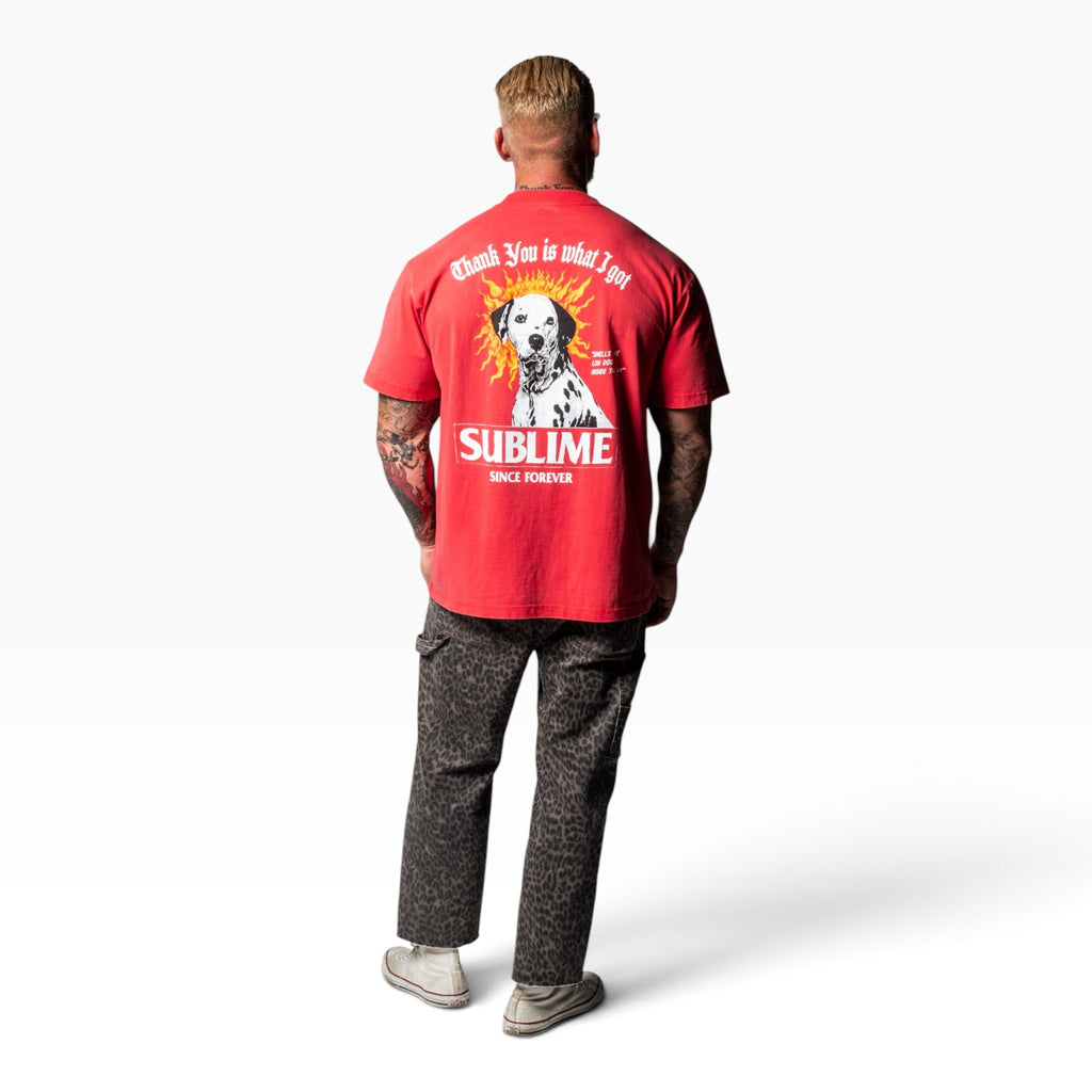 Lou Dog Tee